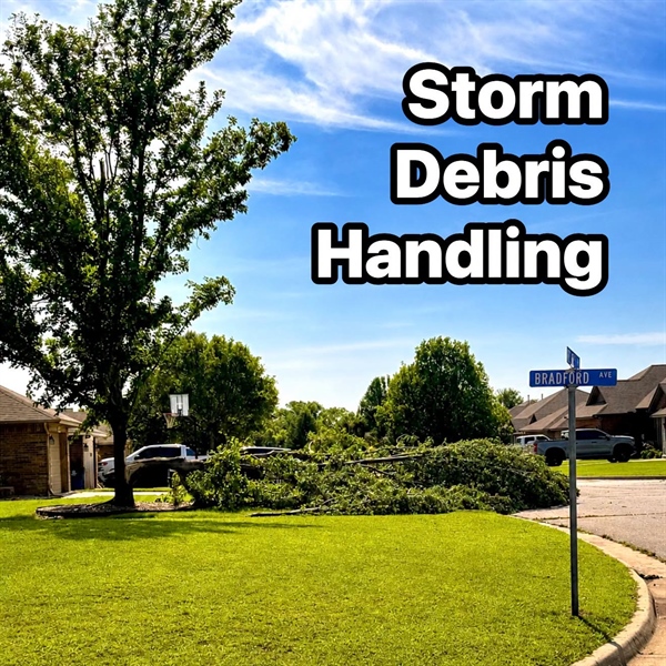 July 4 Storm Debris Information