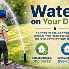 Be Wise in Your Water Ways — Water on Your Day